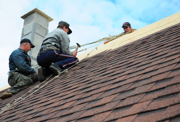 Best Roof Gutter Cleaning  in Prospect Park, NJ
