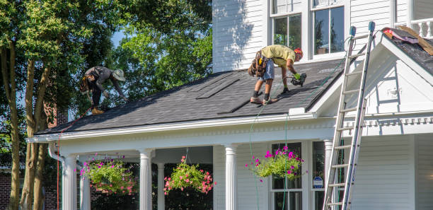 Best Roof Leak Repair  in Prospect Park, NJ